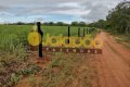 FAZENDA A VENDA NO TOCANTINS