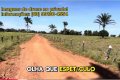 OPORTUNIDADE ÚNICA NO TOCANTINS: FAZENDA PLANA, COM ALTA PRODUTIVIDADE AGRÍCOLA E PECUÁRIA