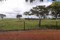 FAZENDA NO TOCANTINS