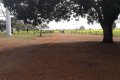 FAZENDA NO TOCANTINS