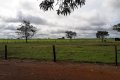 FAZENDA NO TOCANTINS