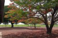 FAZENDA NO TOCANTINS