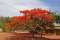 FAZENDA NO TOCANTINS