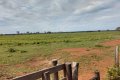FAZENDA NO TOCANTINS