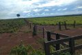 FAZENDA NO TOCANTINS