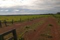 FAZENDA NO TOCANTINS