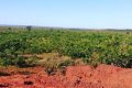 Fazenda no Tocantins