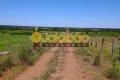 FAZENDA NO TOCANTINS