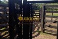 FAZENDA NO TOCANTINS