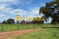 FAZENDA NO TOCANTINS