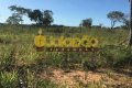 FAZENDA NO TOCANTINS