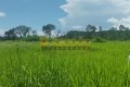 FAZENDA NO TOCANTINS 