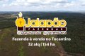 FAZENDA NO TOCANTINS 