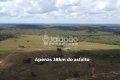 FAZENDA NO TOCANTINS 