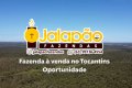 FAZENDA NO TOCANTINS 