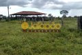 FAZENDA PARA ARRENDAMENTO NO TOCANTINS