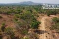 FAZENDA PARA ARRENDAMENTO NO TOCANTINS - ARRENDADA