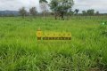 FAZENDA PARA PECUÁRIA NO TOCANTINS