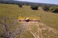 MEGA FAZENDA NO TOCANTINS