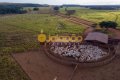 MEGA FAZENDA NO TOCANTINS