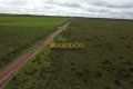 FAZENDA À VENDA NO TOCANTINS