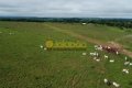 FAZENDA À VENDA NO TOCANTINS
