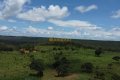 FAZENDA À VENDA NO TOCANTINS