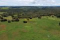 FAZENDA À VENDA NO TOCANTINS
