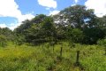 FAZENDA NO TOCANTINS