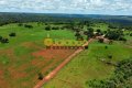 FAZENDA PARA PECUÁRIA NO TOCANTINS