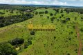 FAZENDA PARA PECUÁRIA NO TOCANTINS