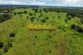 FAZENDA PARA PECUÁRIA NO TOCANTINS