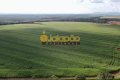 FAZENDA PARA PLANTIO DE SOJA