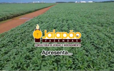 Fazenda no Tocantins