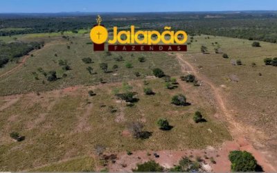 FAZENDA COM DUPLA APTIDÃO NO VALE DO ARAGUAIA TOCANTINENSE