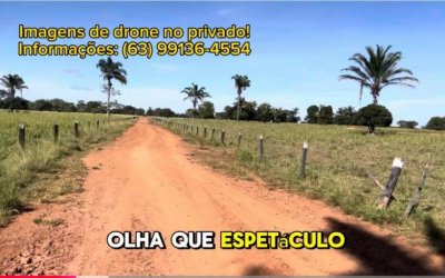 OPORTUNIDADE ÚNICA NO TOCANTINS: FAZENDA PLANA, COM ALTA PRODUTIVIDADE AGRÍCOLA E PECUÁRIA