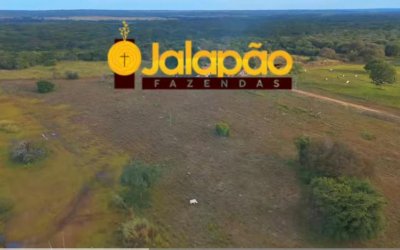 FAZENDA DUPLA APTIDÃO NO ASFALTO ESTRUTURADA NO TOCANTINS