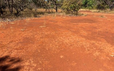 TERRA BOA, TERRA PRODUTIVA, FAZENDA ALTO PADRÃO NO TOCANTINS