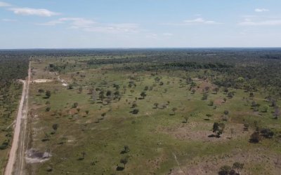 FAZENDA NO TOCANTINS