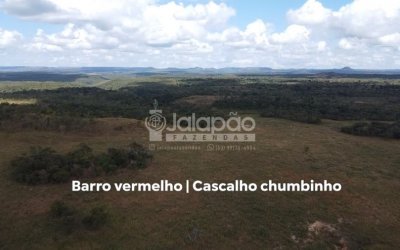 FAZENDA NO TOCANTINS 