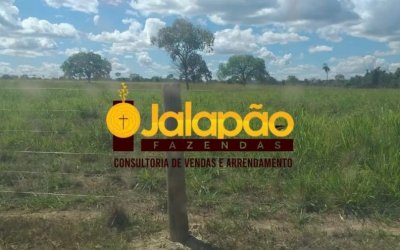 FAZENDA NO TOCANTINS